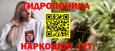 jwh Владимир