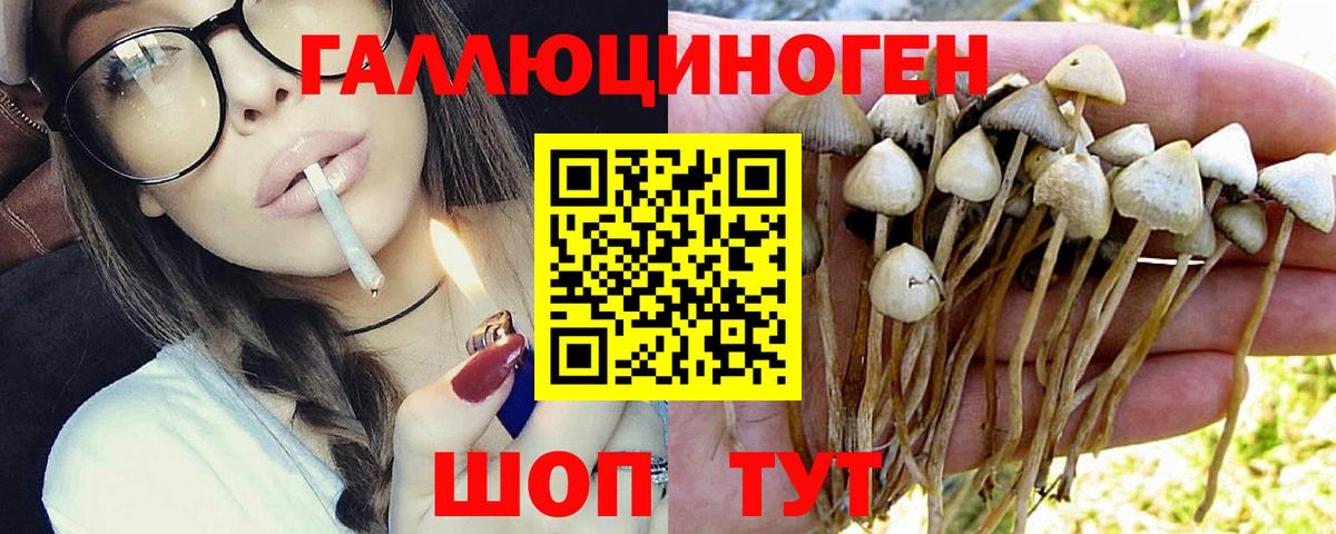 Псилоцибиновые грибы GOLDEN TEACHER  Вход с VPN  Ейск 